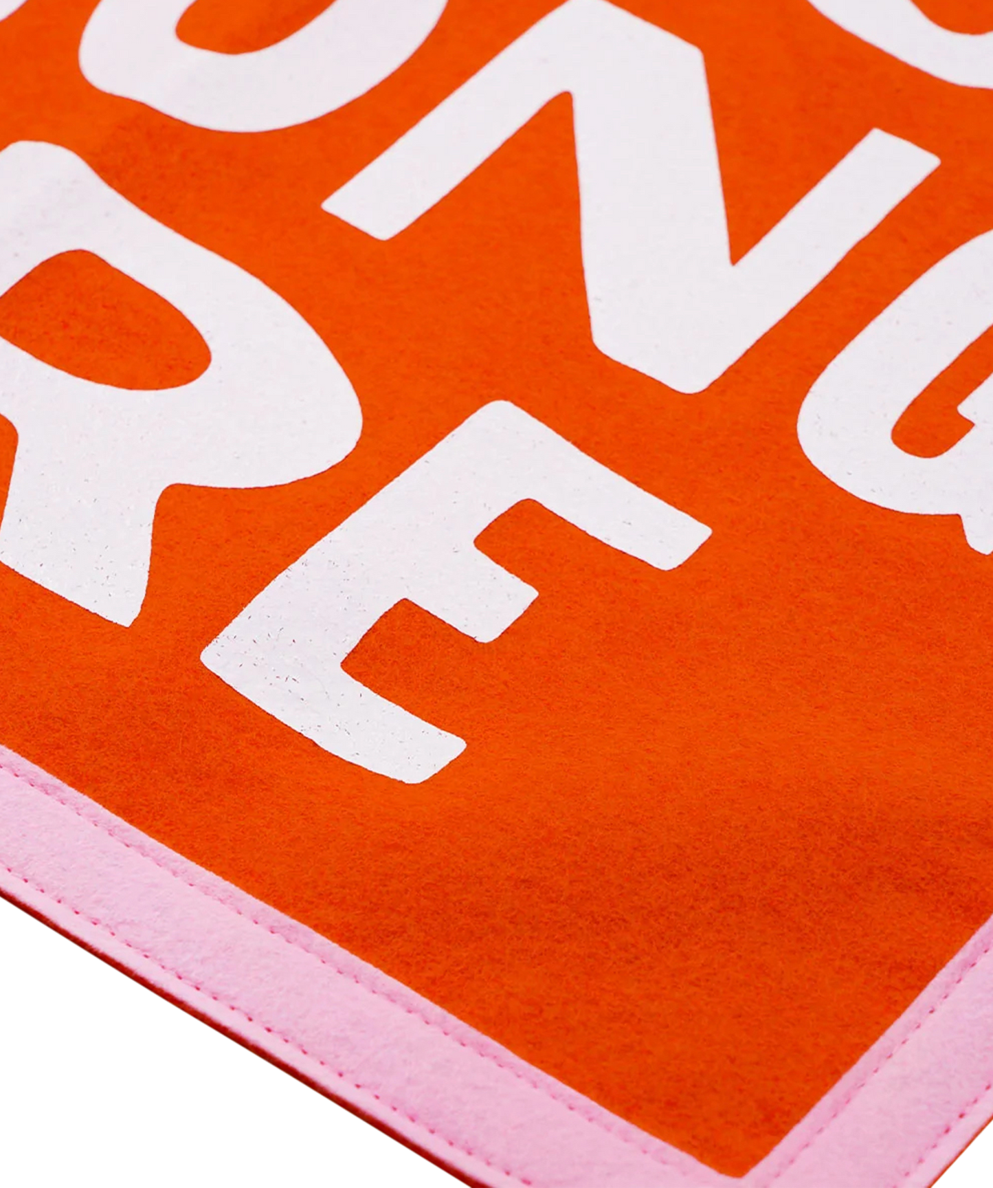 You Belong Here Camp Flag