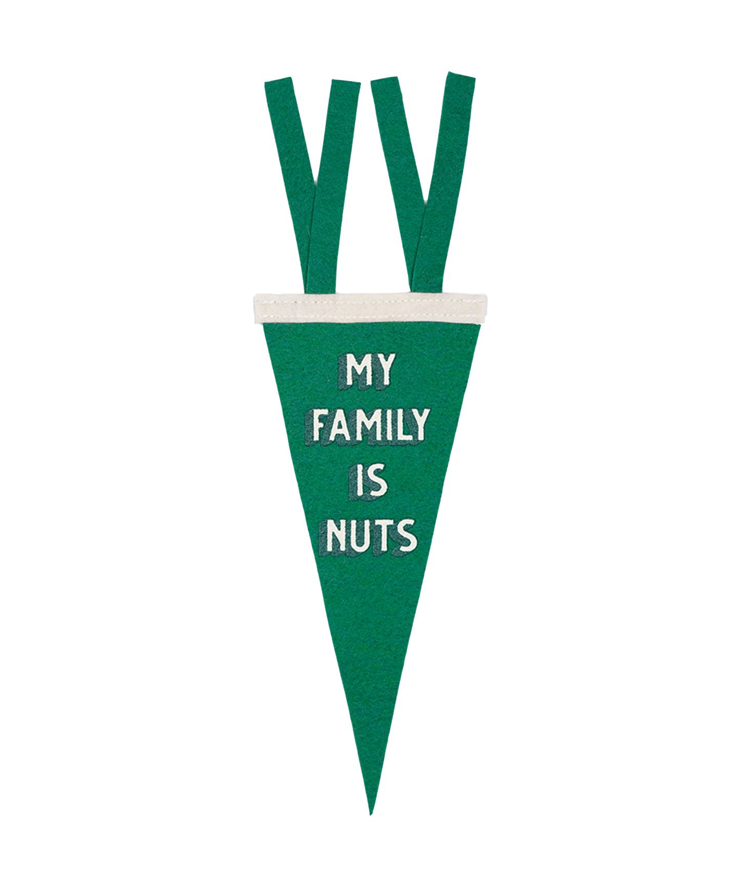 My Family Is Nuts Green Mini Pennant