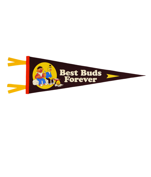 Best Buds Forever Pennant • Sesame Street x Oxford Pennant
