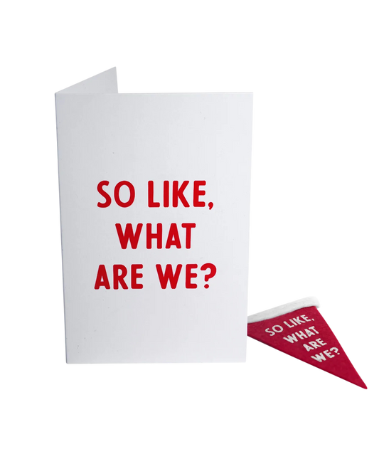 So Like, What Are We? Greeting Card & Matching Mini Pennant