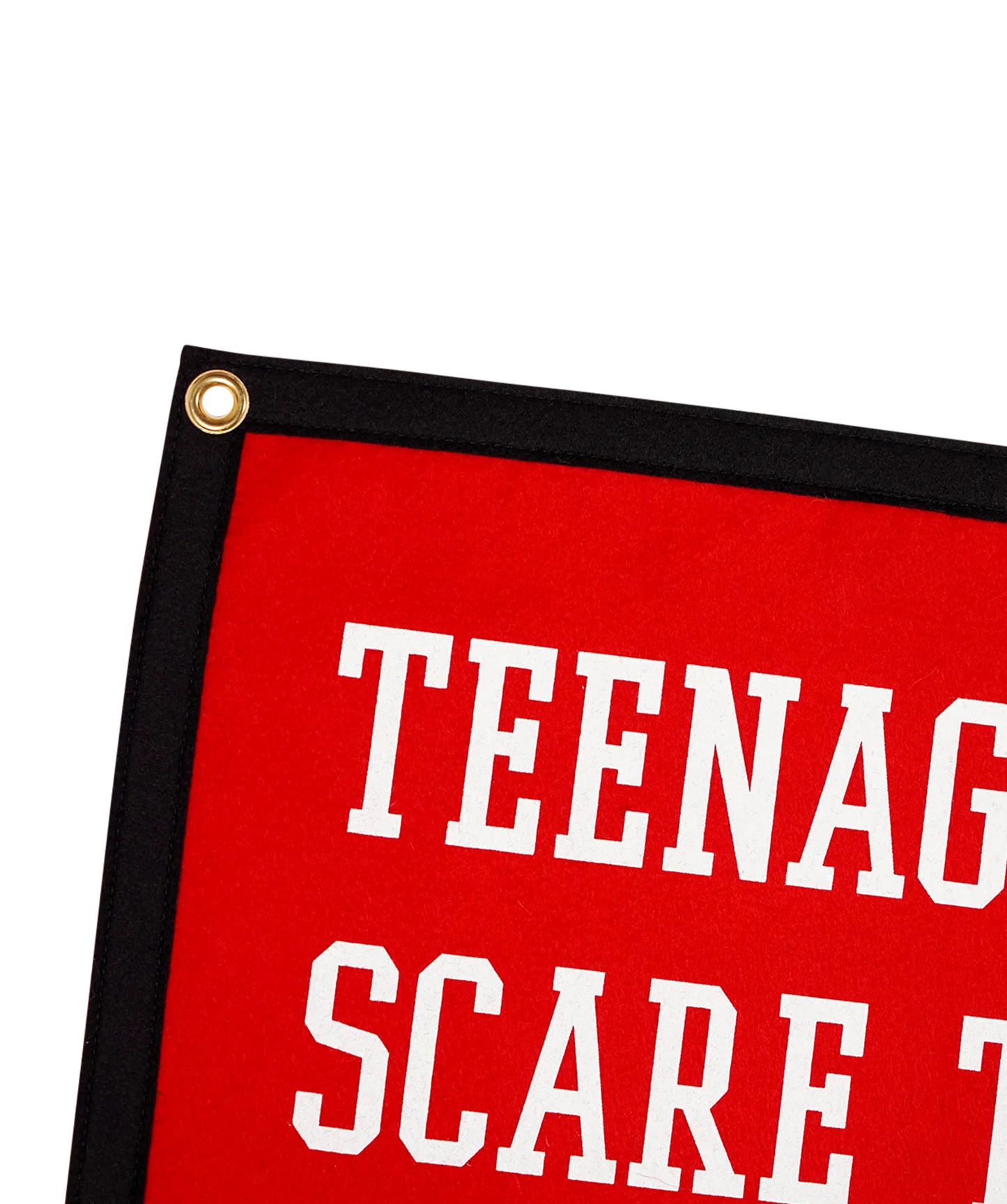 Teenagers Scare The Living Shit Out Of Me Camp Flag - MCR x Oxford Pennant