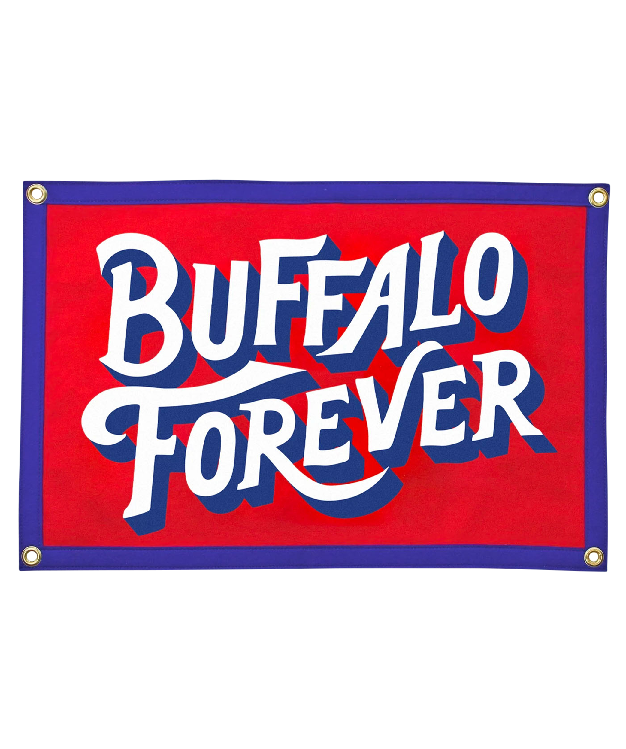 Who Has More Fun Than Buffalo Bumper Sticker