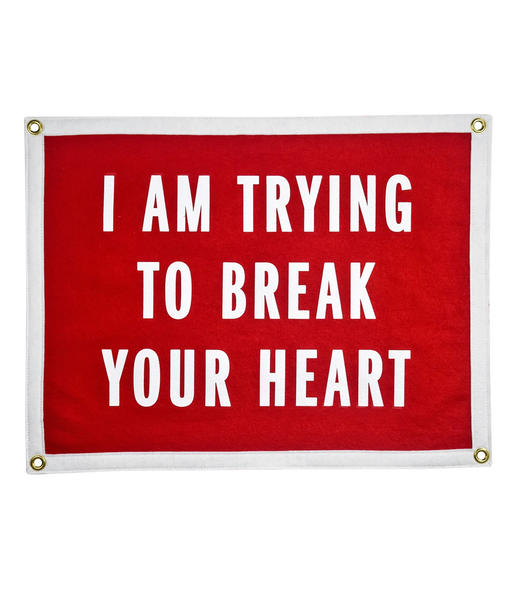 I Am Trying To Break Your Heart Camp Flag • Wilco x Oxford Pennant Original