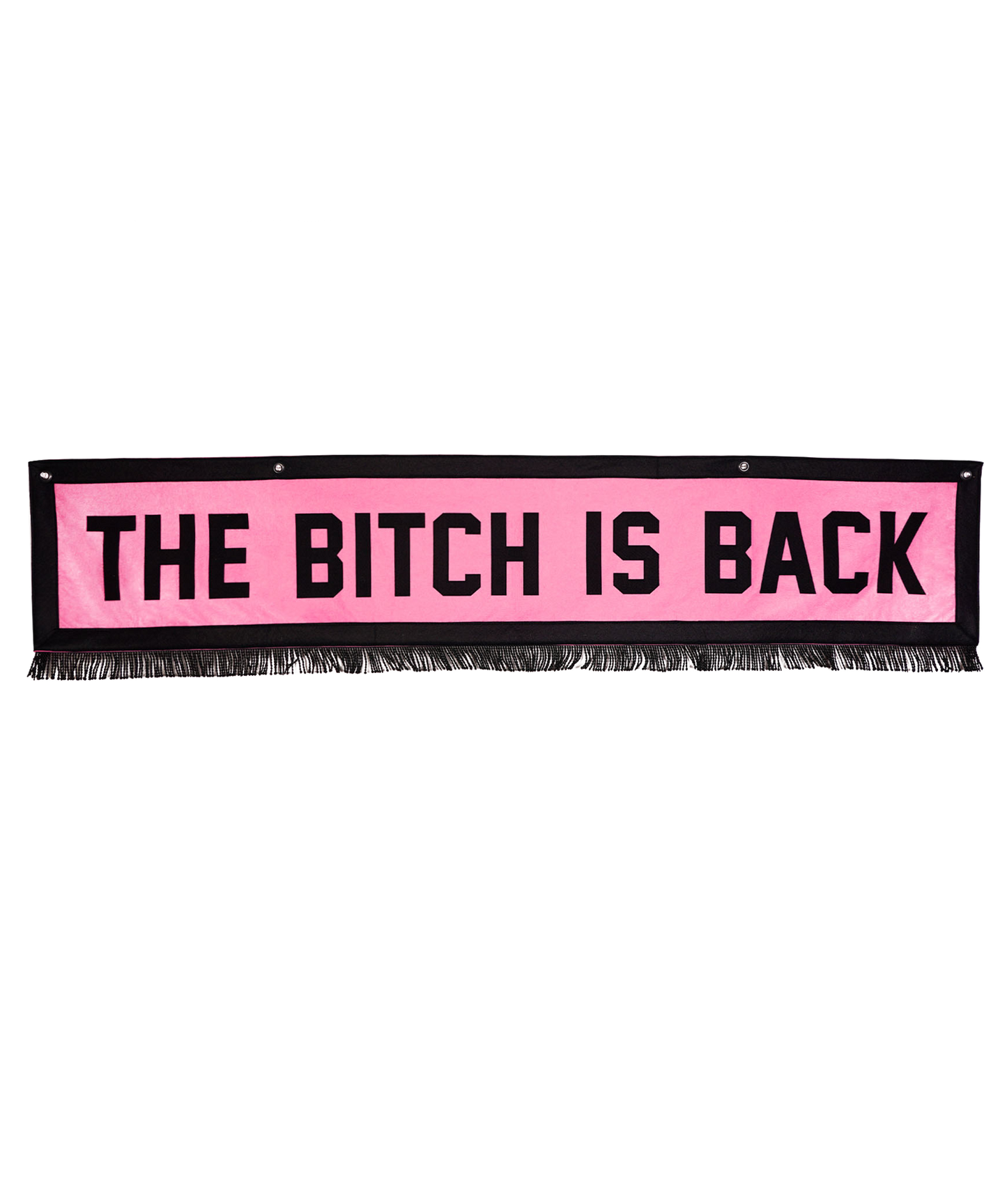 The Bitch Is Back Banner • Elton John x Oxford Pennant