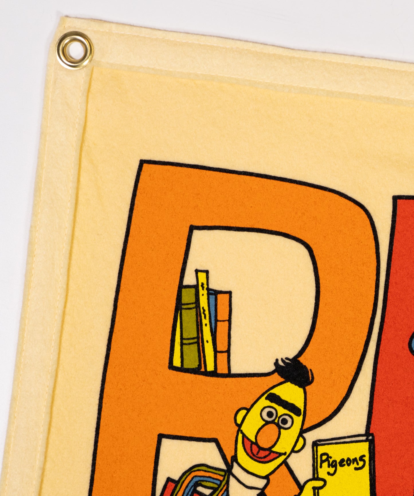 READ Camp Flag • Sesame Street x Oxford Pennant