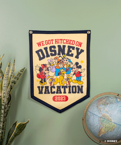 Personalized Disney Vacation Camp Flag