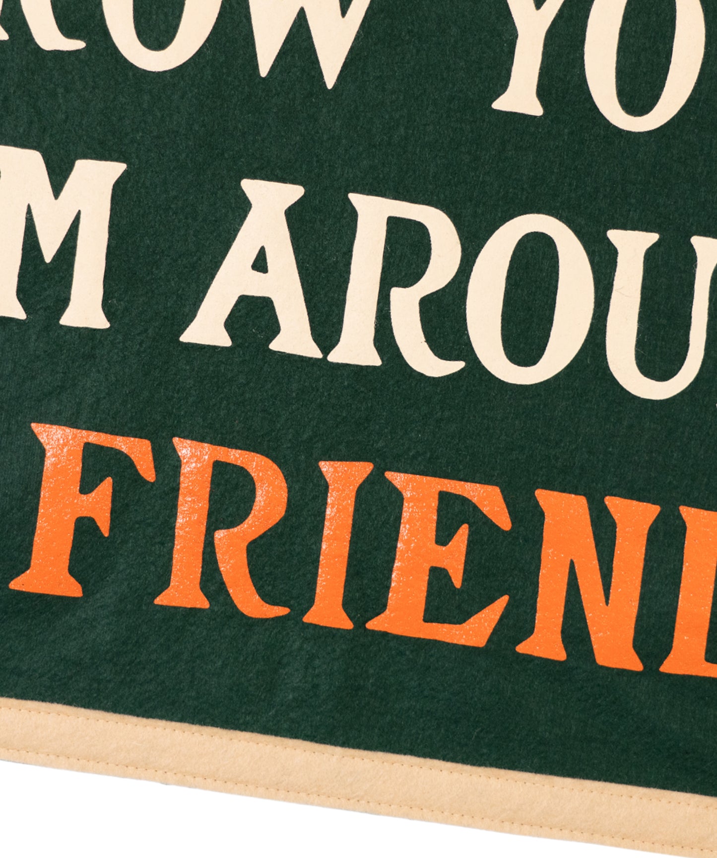 Throw Your Arm Around A Friend Camp Flag • Billy Strings x Oxford Pennant