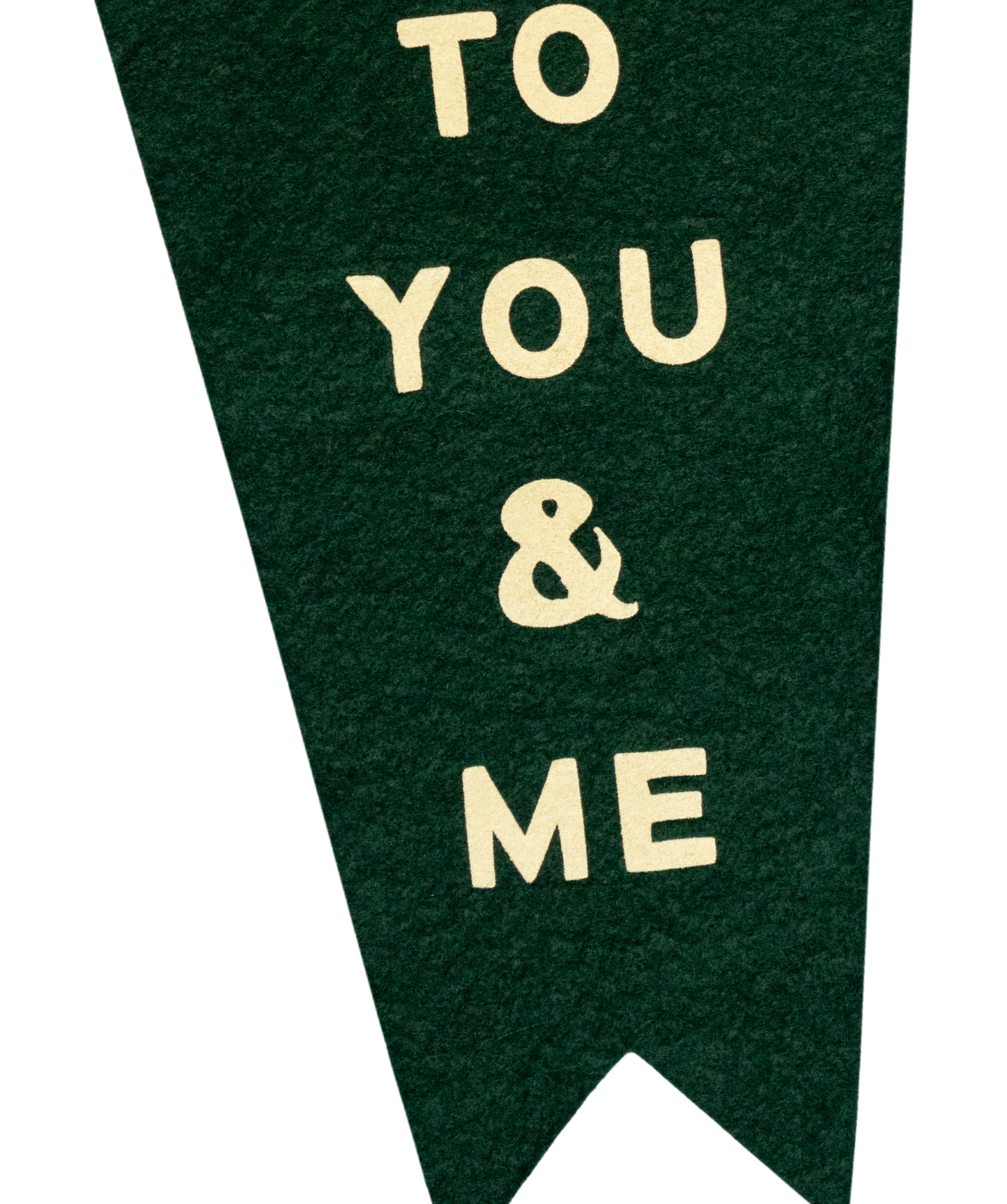 Feels Like The World Belongs To You & Me Fishtail Pennant • Turnpike Troubadours x Oxford Pennant