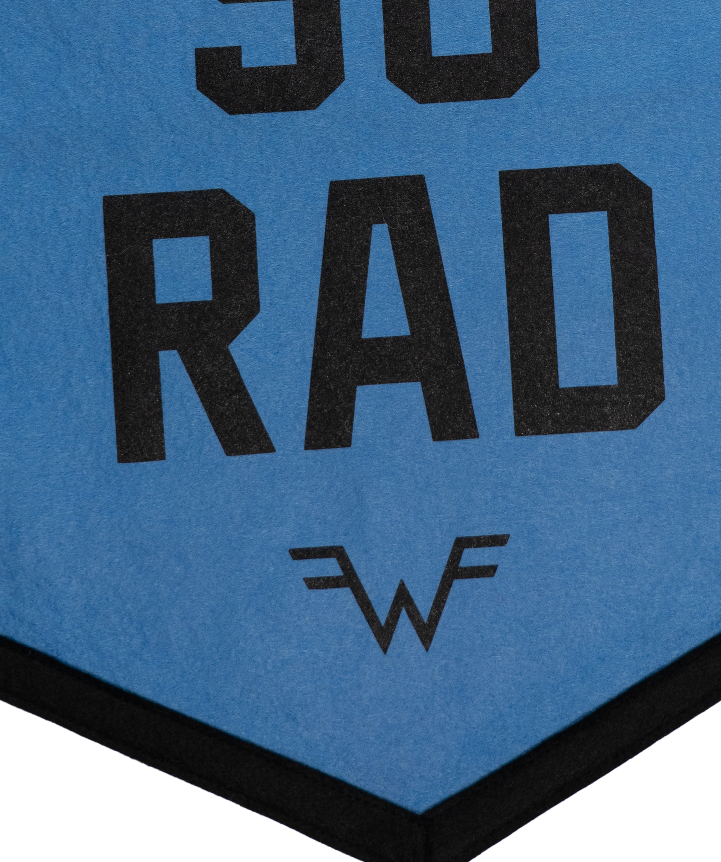 Life's So Rad Camp Flag • Weezer x Oxford Pennant