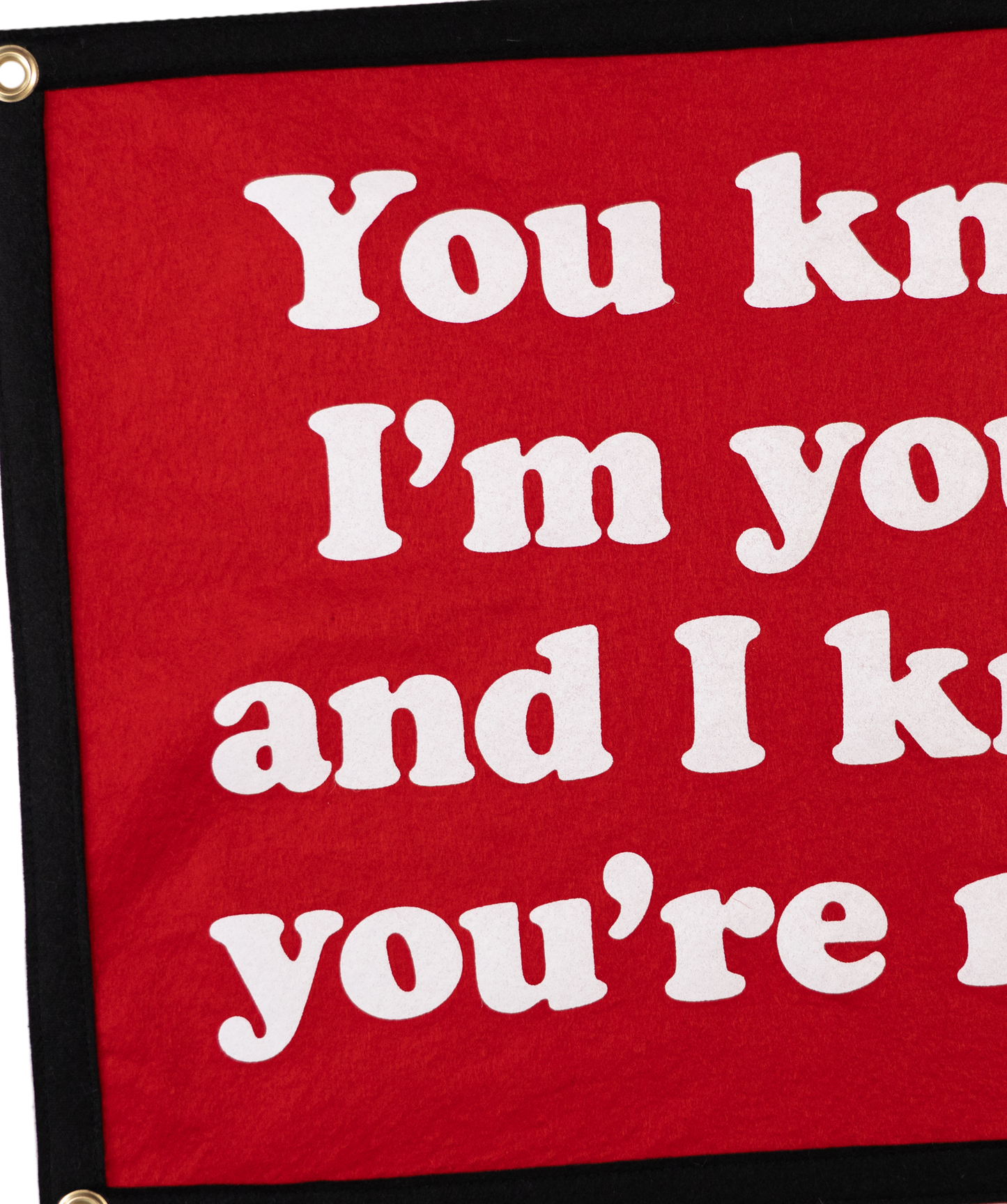 You Know I'm Yours And I Know You're Mine Camp Flag • Weezer x Oxford Pennant
