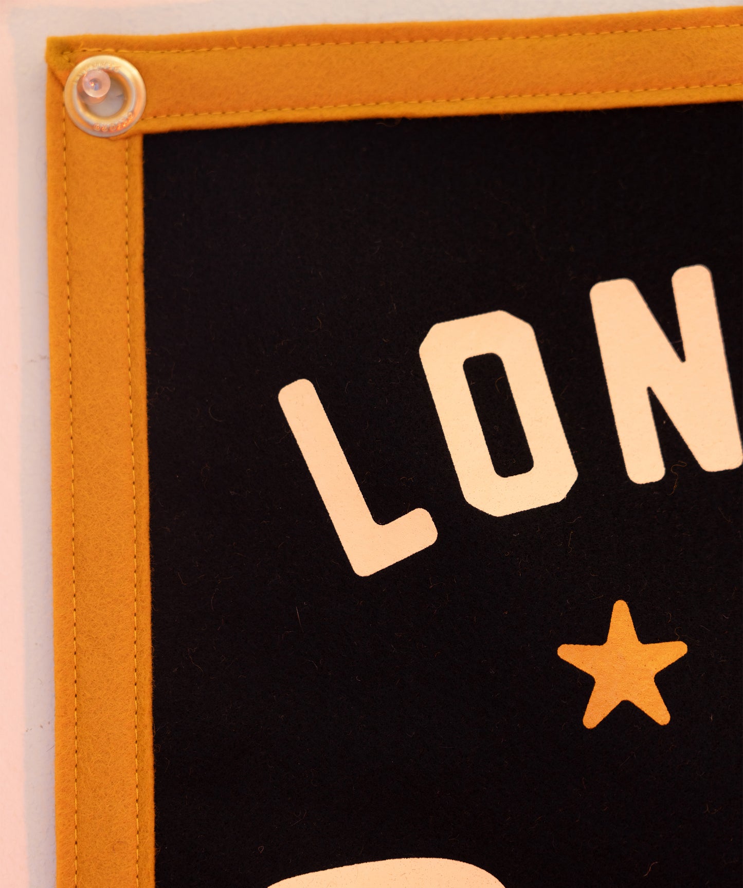 Long Live the Reckless and the Brave Camp Flag • All Time Low x Oxford Pennant