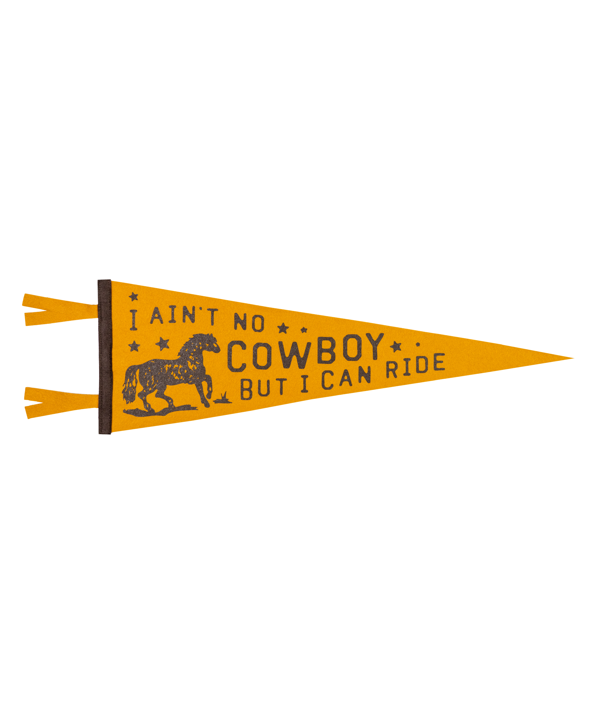 I Ain't No Cowboy But I Can Ride Pennant • Jason Isbell x Oxford