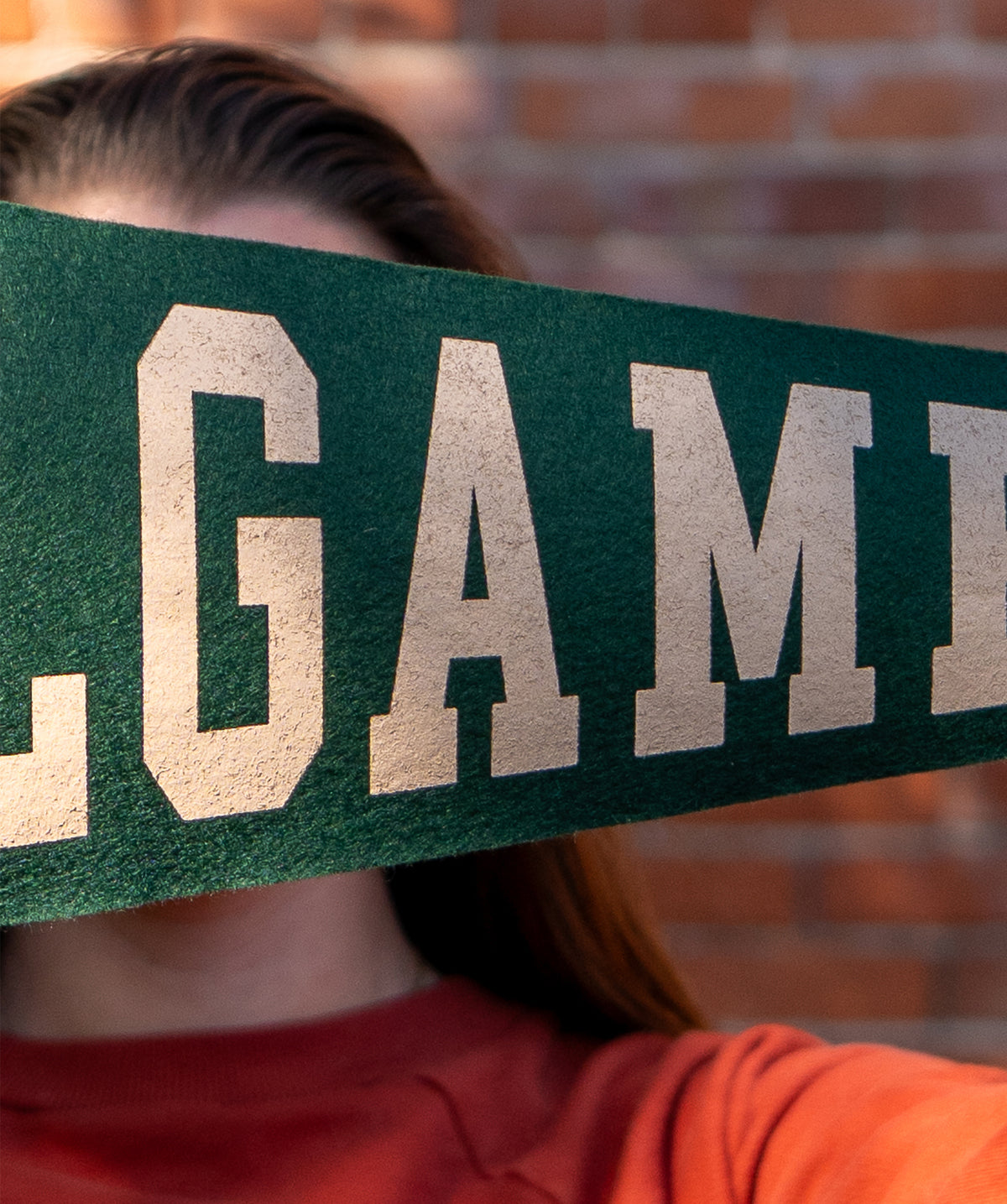 Ballgame Pennant • Tyler Ballgame x Oxford Pennant