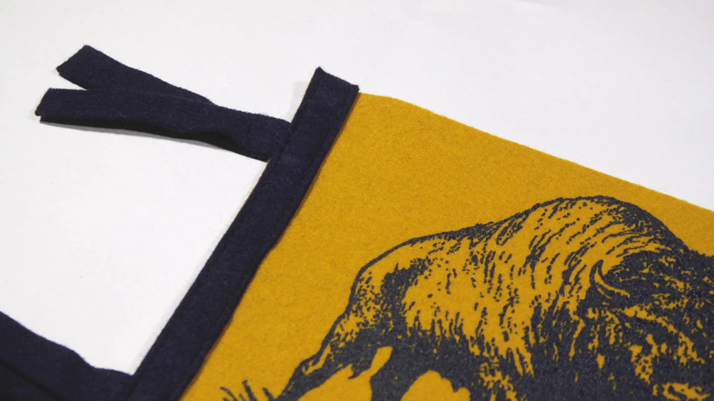 Illustrated Buffalo, NY Pennant