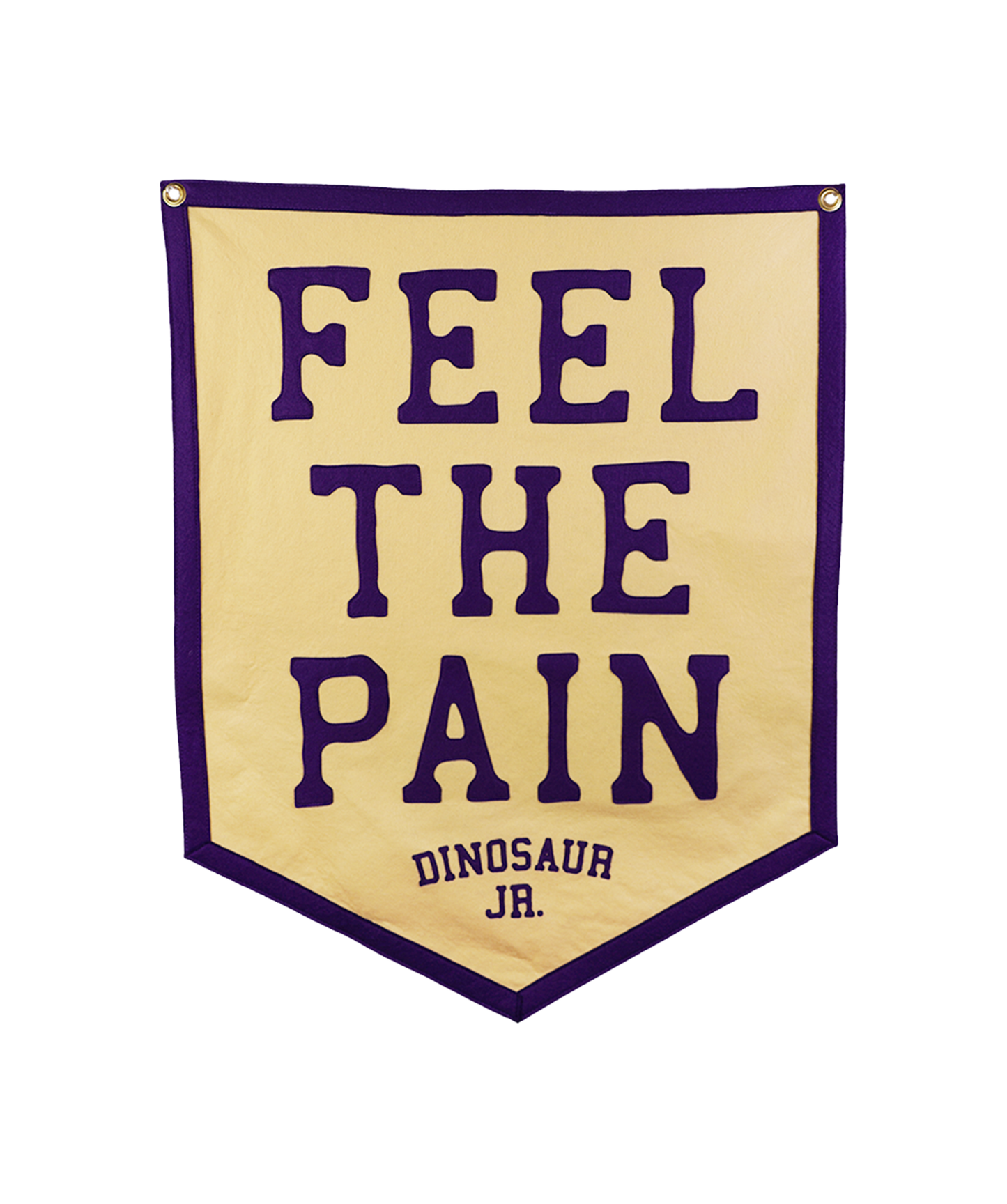 Feel The Pain Banner • Dinosaur Jr. x Oxford Pennant