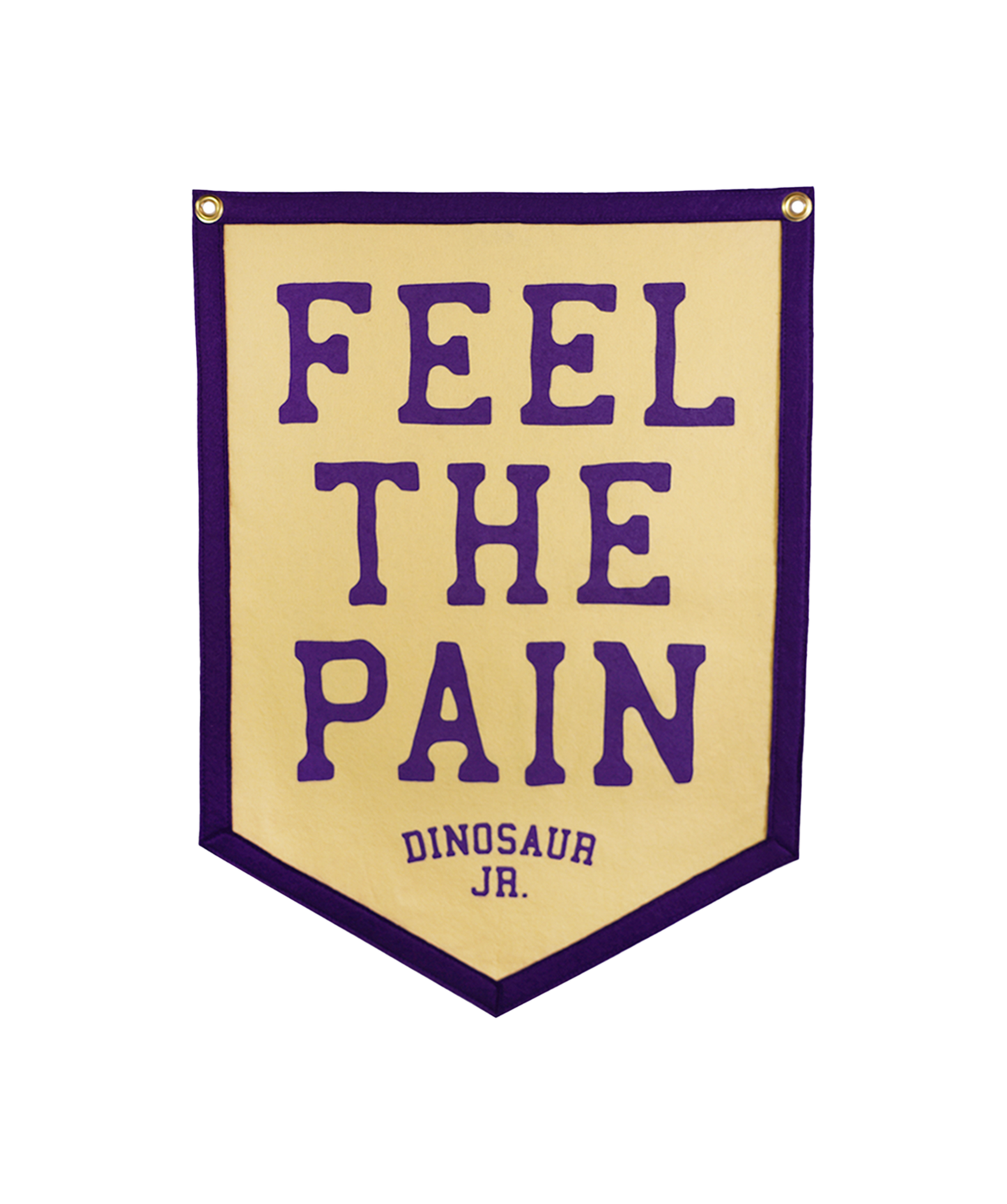 Feel the Pain Camp Flag • Dinosaur Jr. x Oxford Pennant