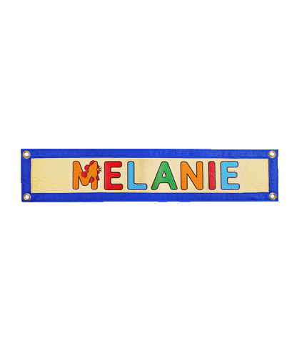 Personalized Elmo Name Camp Flag • Sesame Street x Oxford Pennant