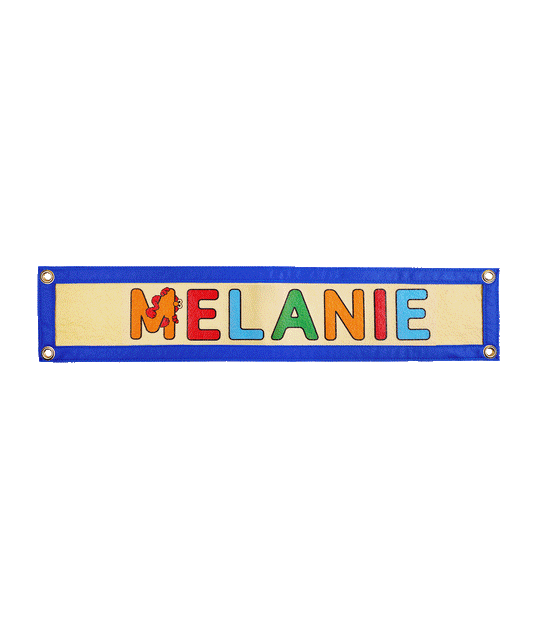 Personalized Elmo Name Camp Flag • Sesame Street x Oxford Pennant