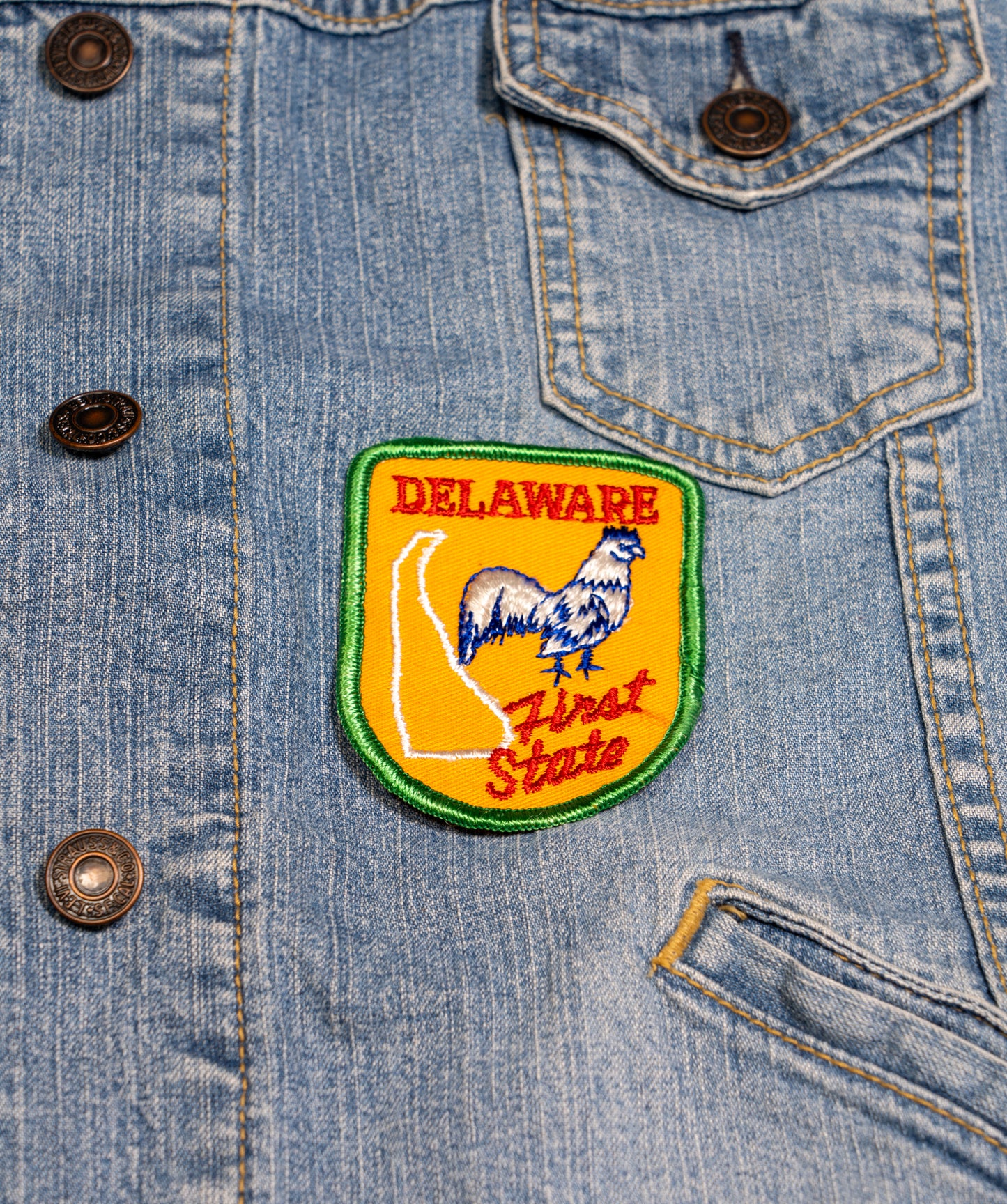 Vintage Delaware Embroidered Patch