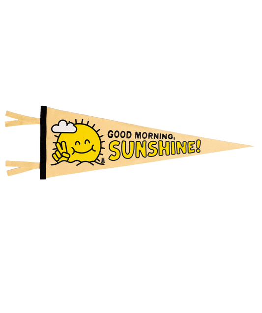 Good Morning Sunshine Pennant • Kelle Hampton x Oxford Pennant