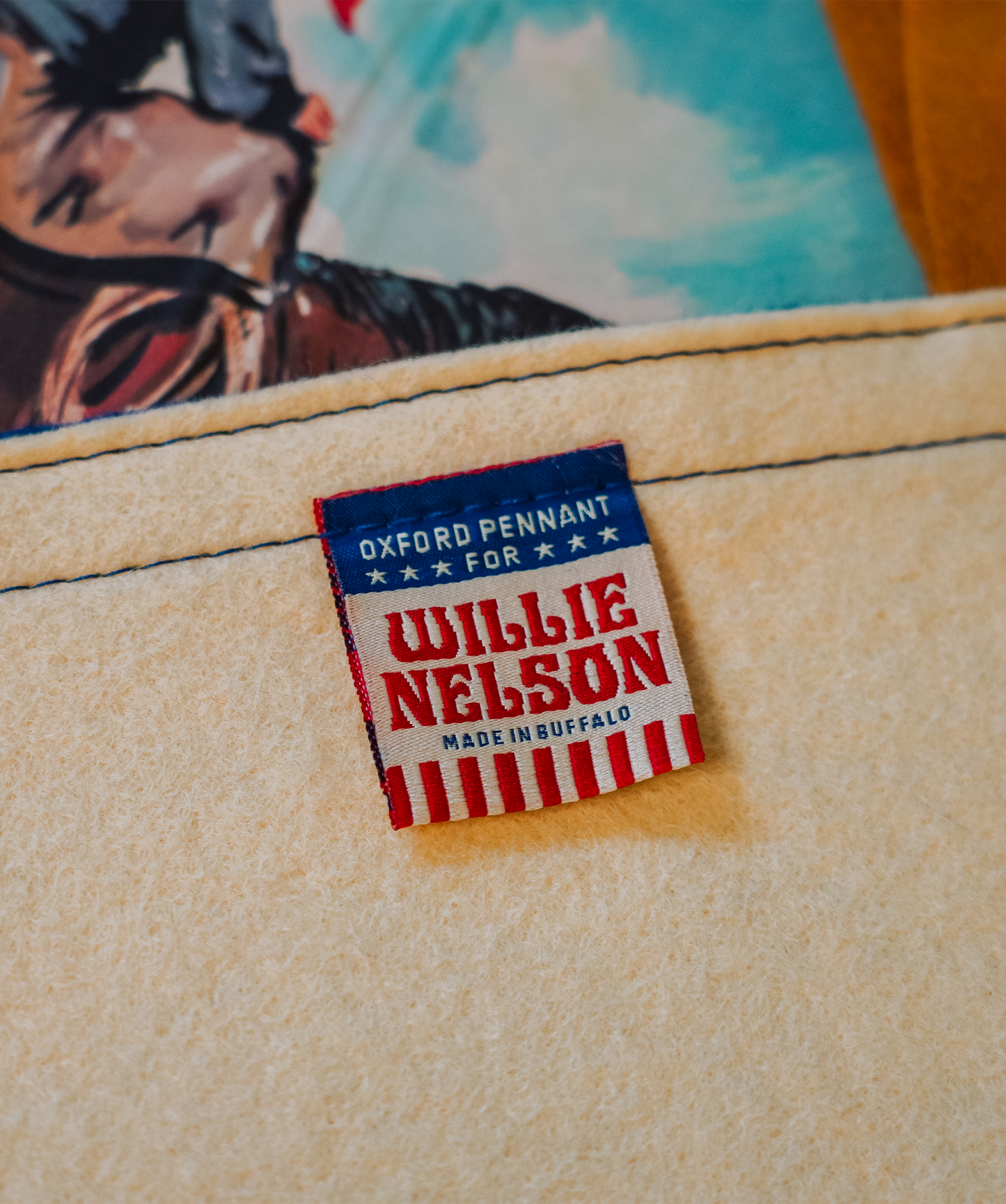 Vote Em Out Camp Flag • Willie Nelson x Oxford Pennant