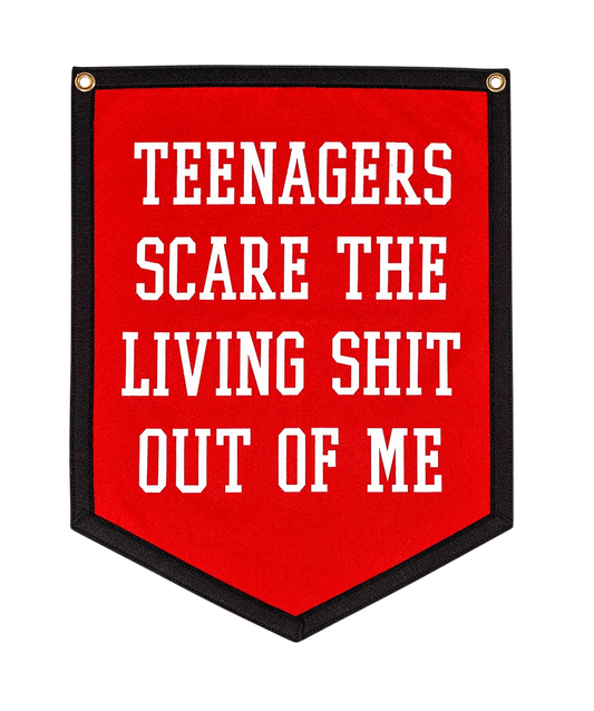 Teenagers Scare The Living Shit Out Of Me Camp Flag • MCR x Oxford Pennant