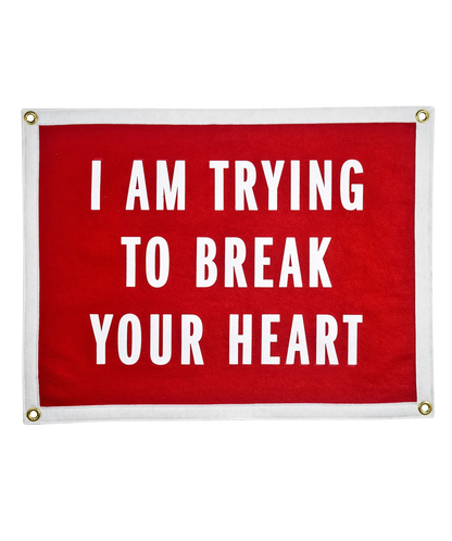 I Am Trying To Break Your Heart Camp Flag • Wilco x Oxford Pennant Original