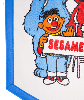 Sesame Street Friends Camp Flag 