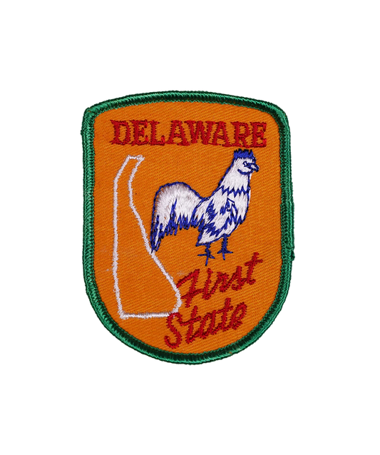 Vintage Delaware Embroidered Patch
