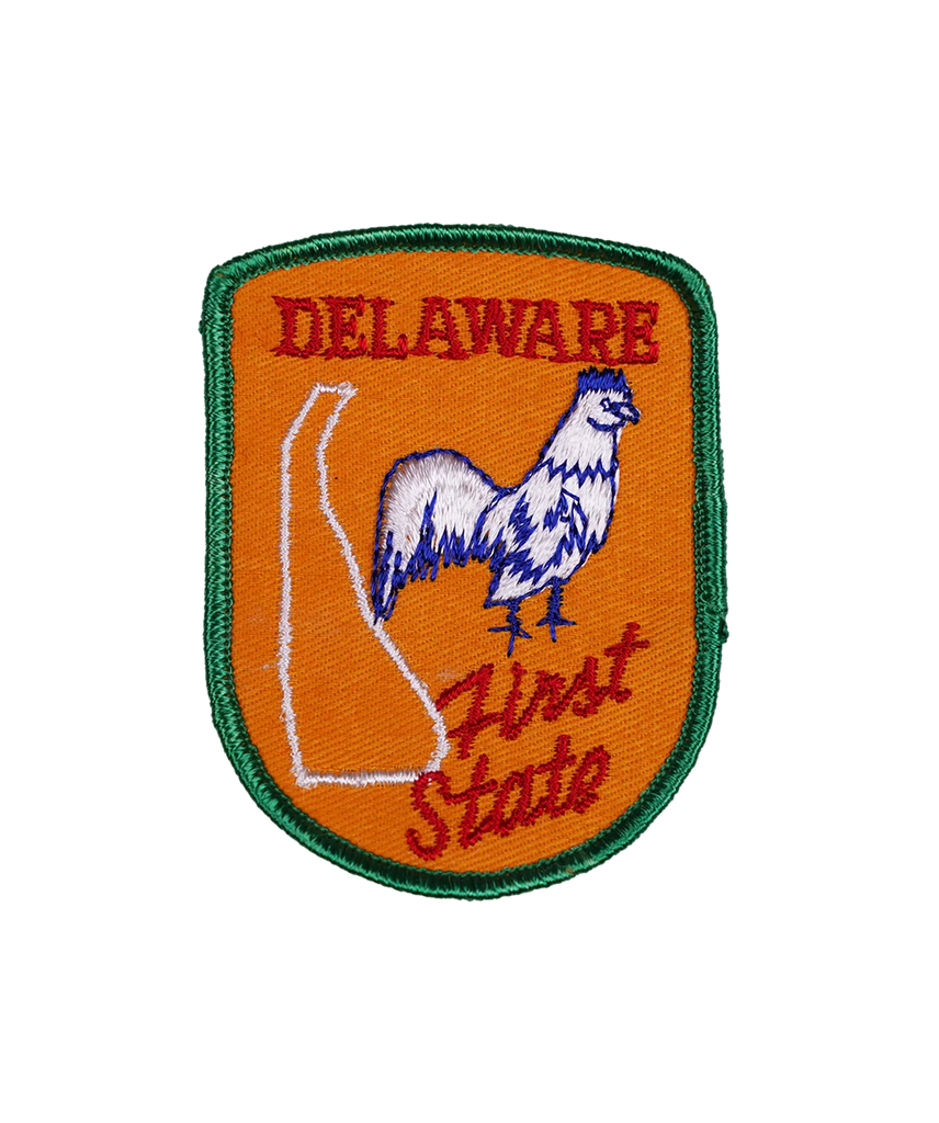 Vintage Delaware Embroidered Patch | Oxford Pennant