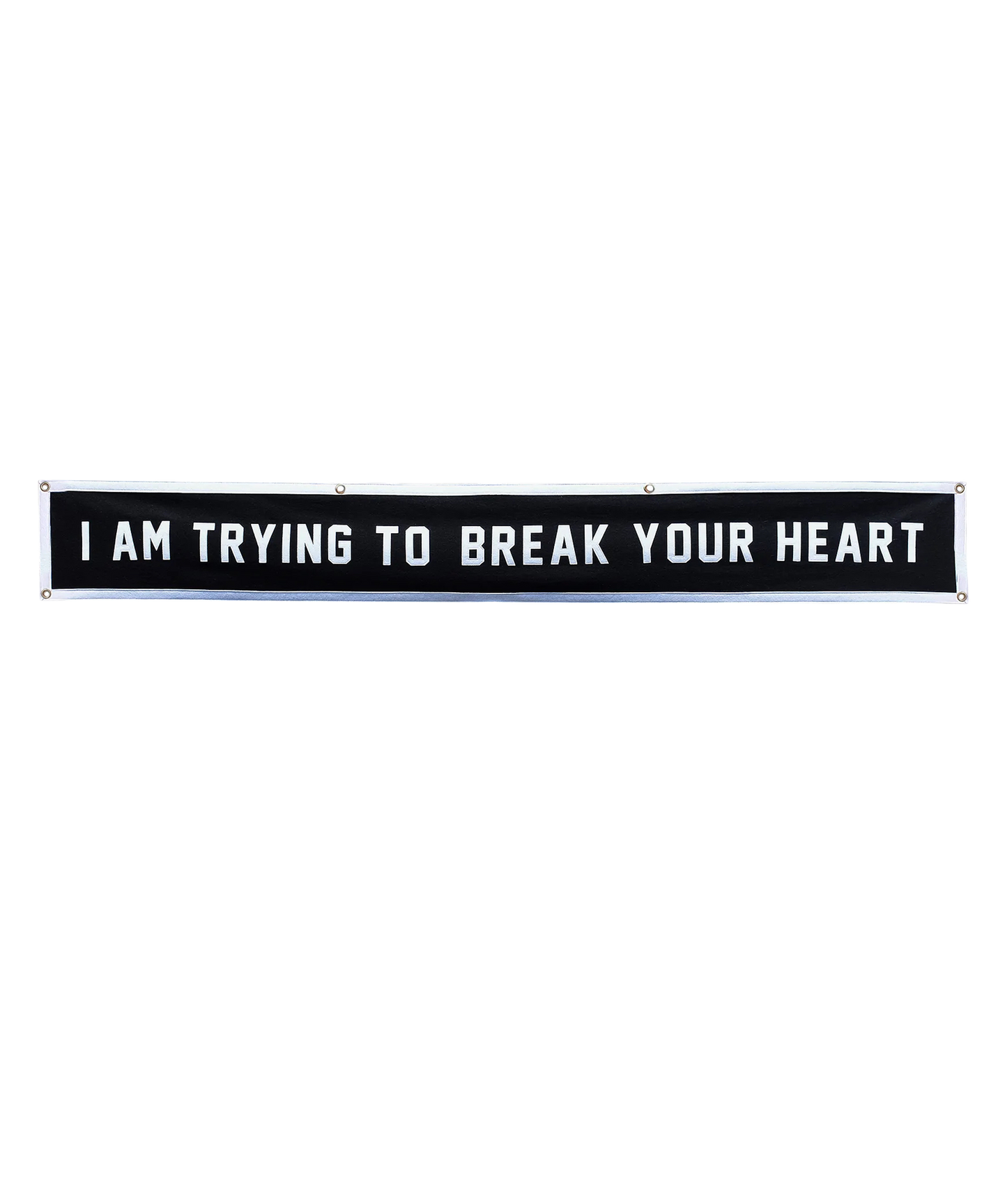 I Am Trying To Break Your Heart Championship Banner • Wilco x Oxford Pennant