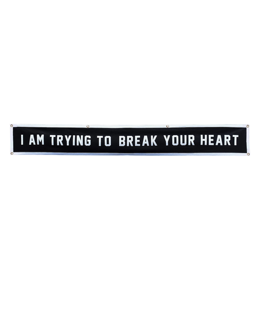 I Am Trying To Break Your Heart Championship Banner • Wilco x Oxford Pennant