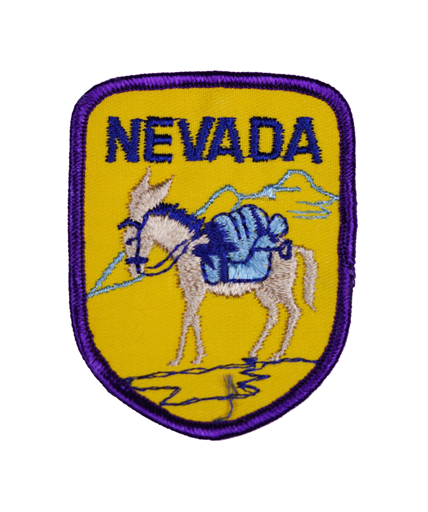Vintage Nevada Embroidered Patch