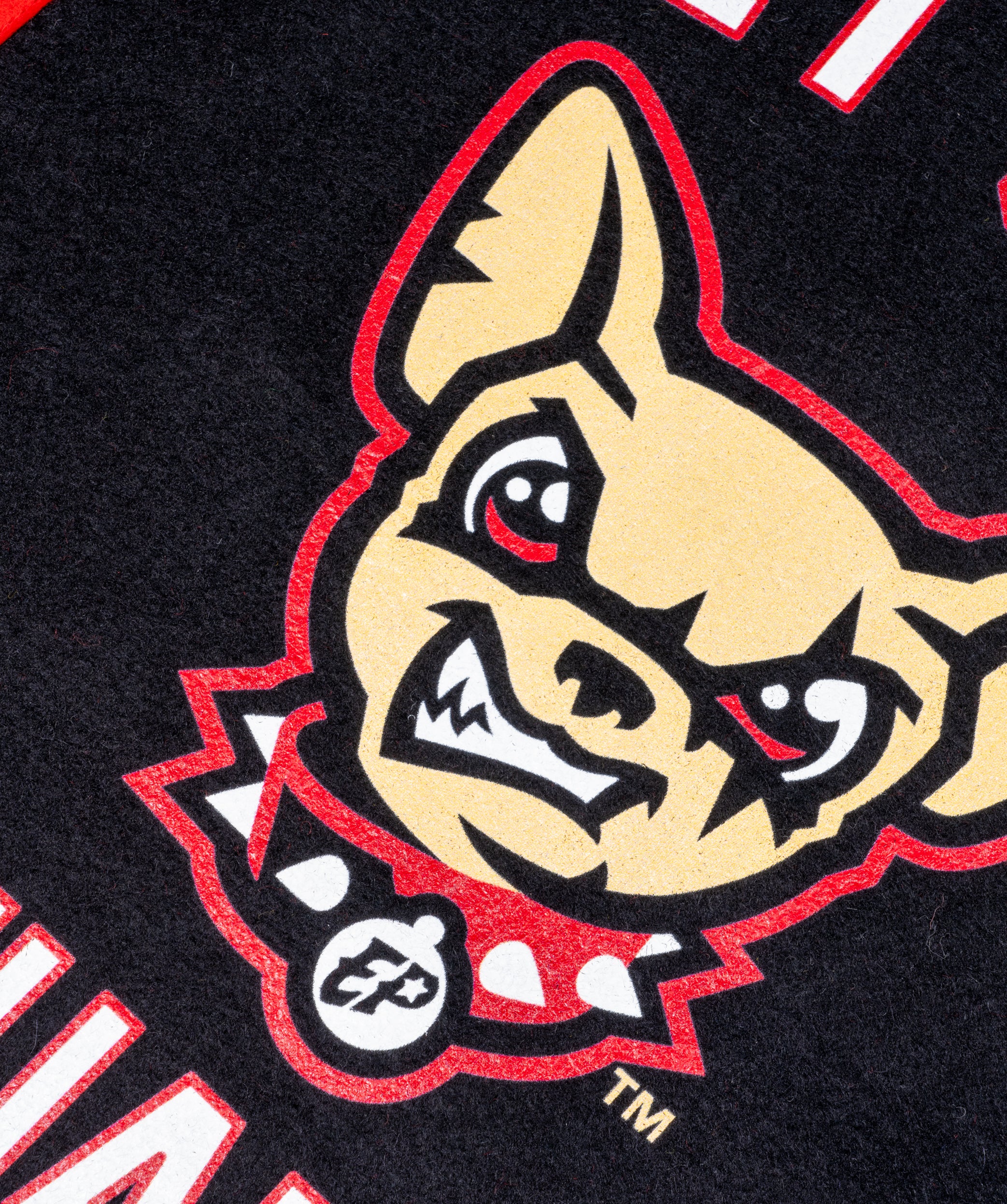 Let's Go Chihuahuas Camp Flag | MiLB x Oxford Pennant