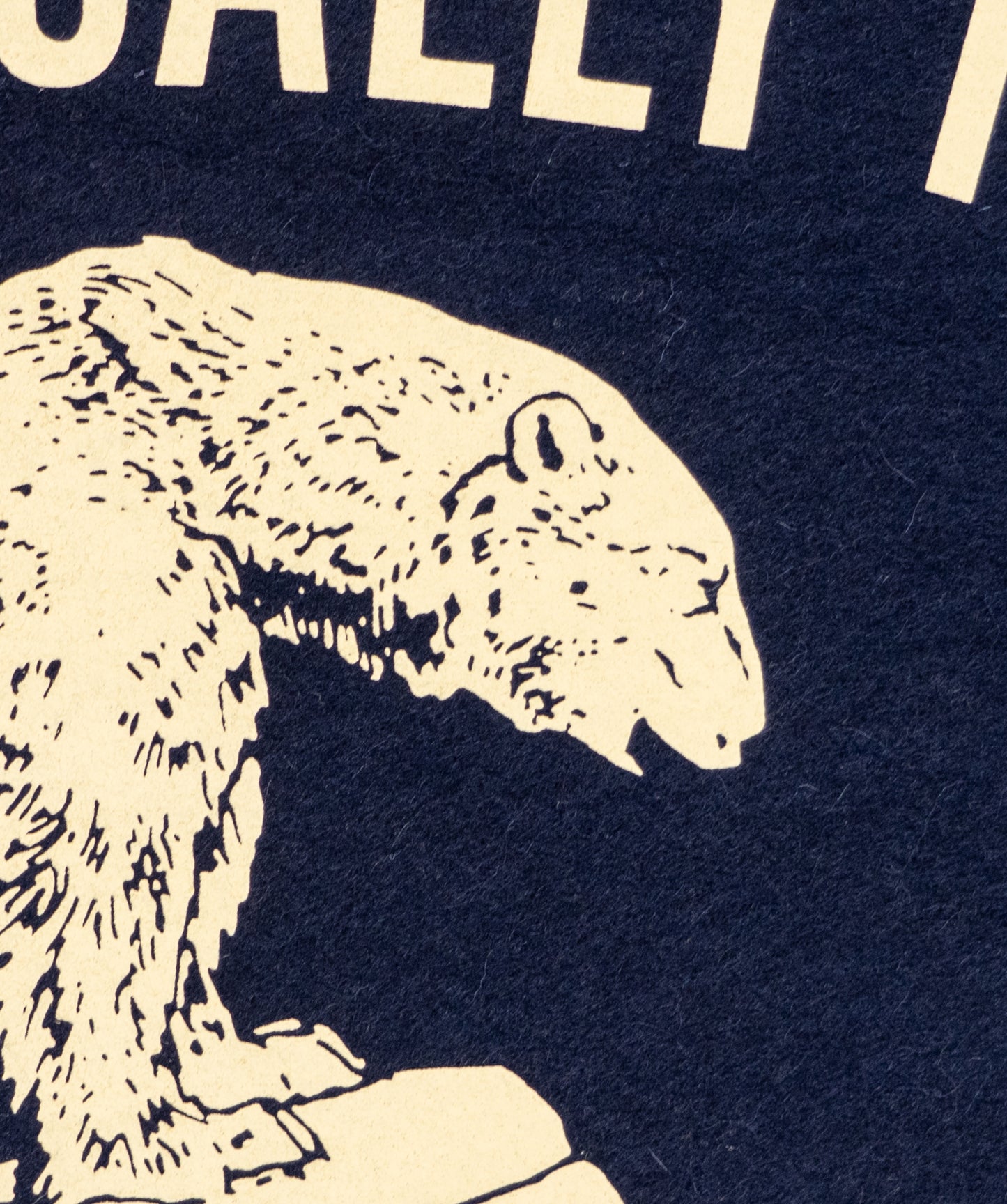 Polar Bear Camp Flag • The Tragically Hip x Oxford Pennant