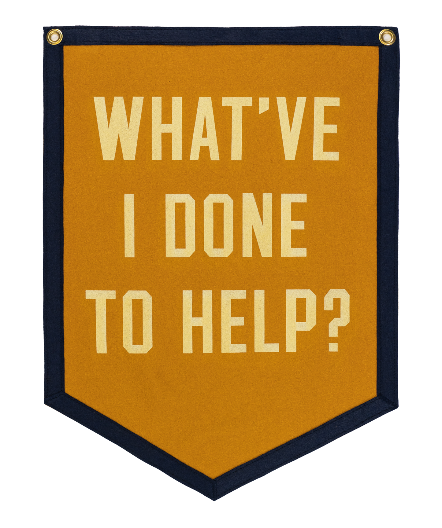 What've I Done To Help Camp Flag • Jason Isbell x Oxford Pennant