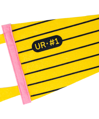 Pencil Pennant