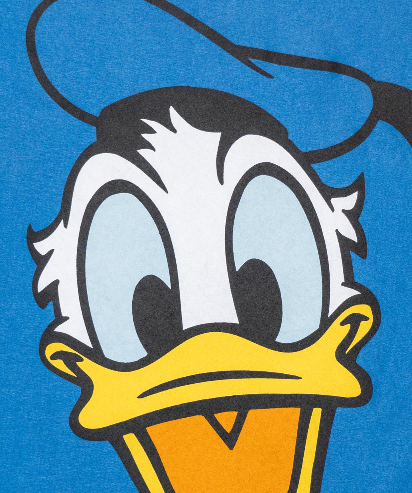 Disney's Donald Duck - Camp Flag