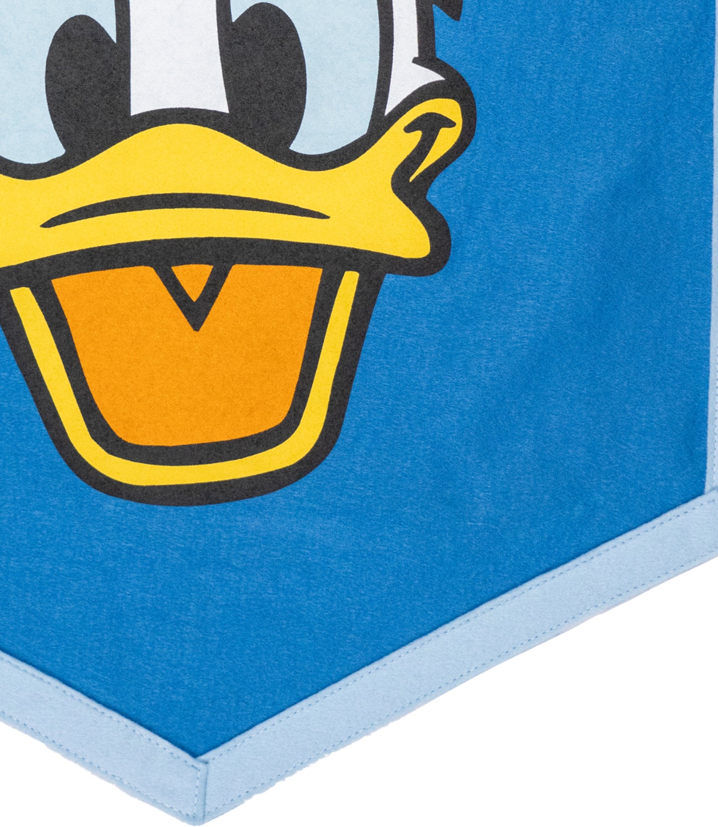 Disney's Donald Duck - Camp Flag