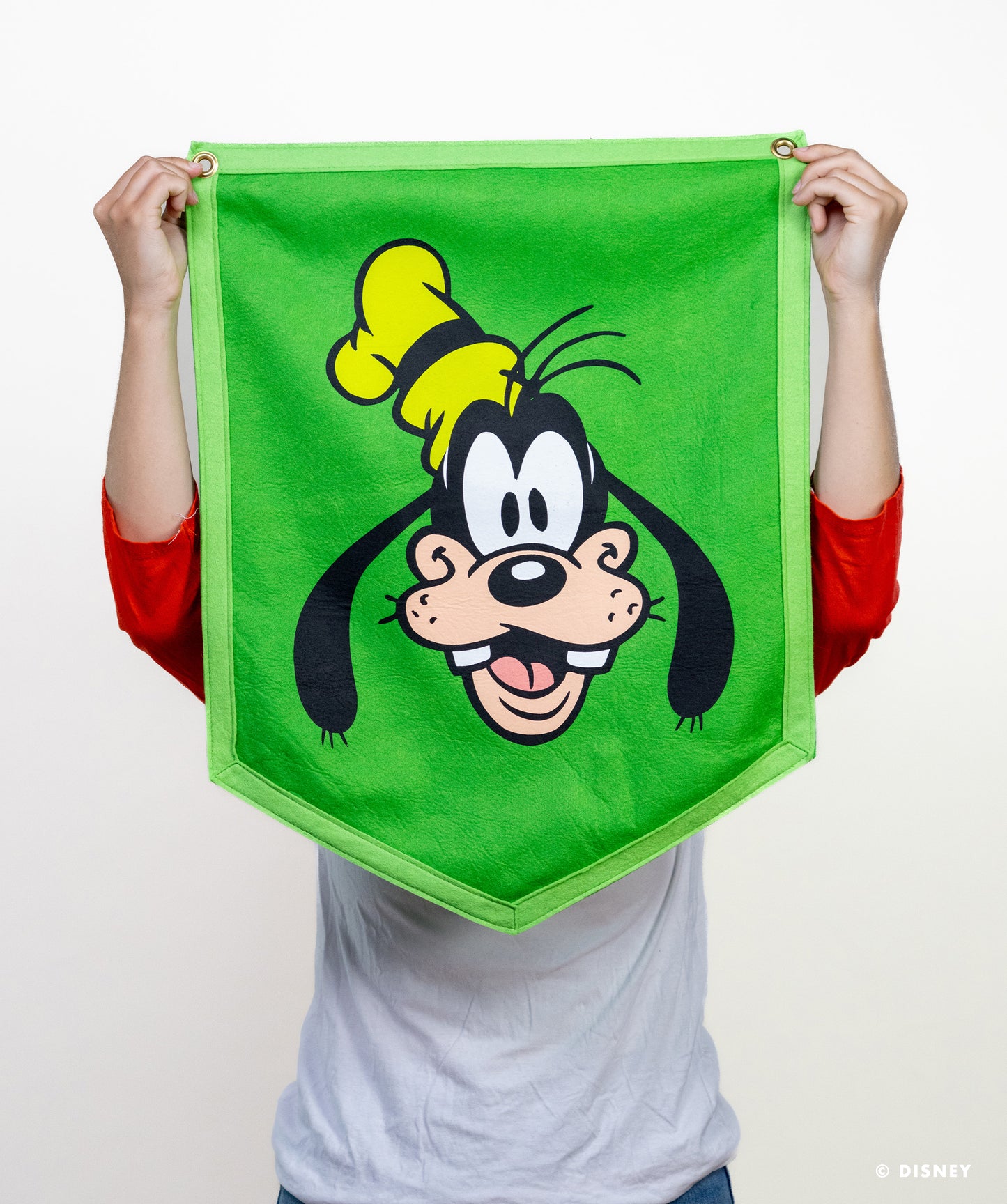 Disney's Goofy - Camp Flag