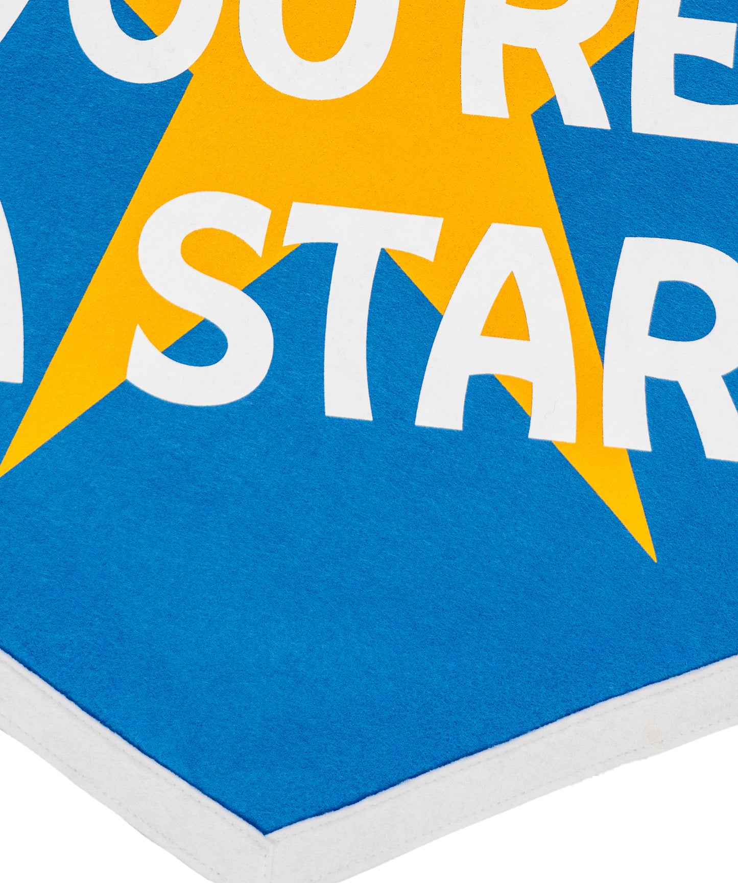 Baby You're A Star Camp Flag