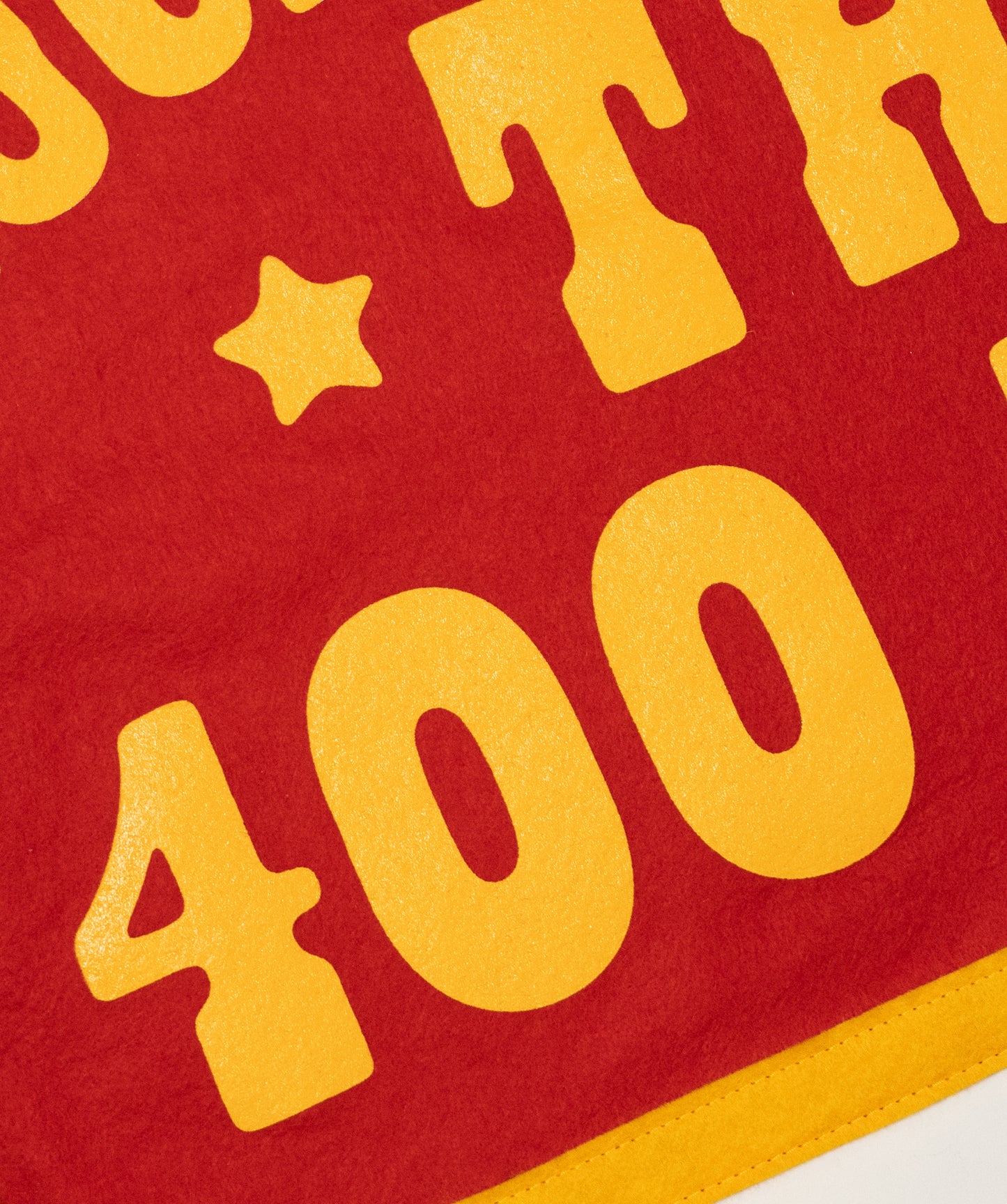 Lucky To Have The 400 Unit Camp Flag • Jason Isbell x Oxford Pennant