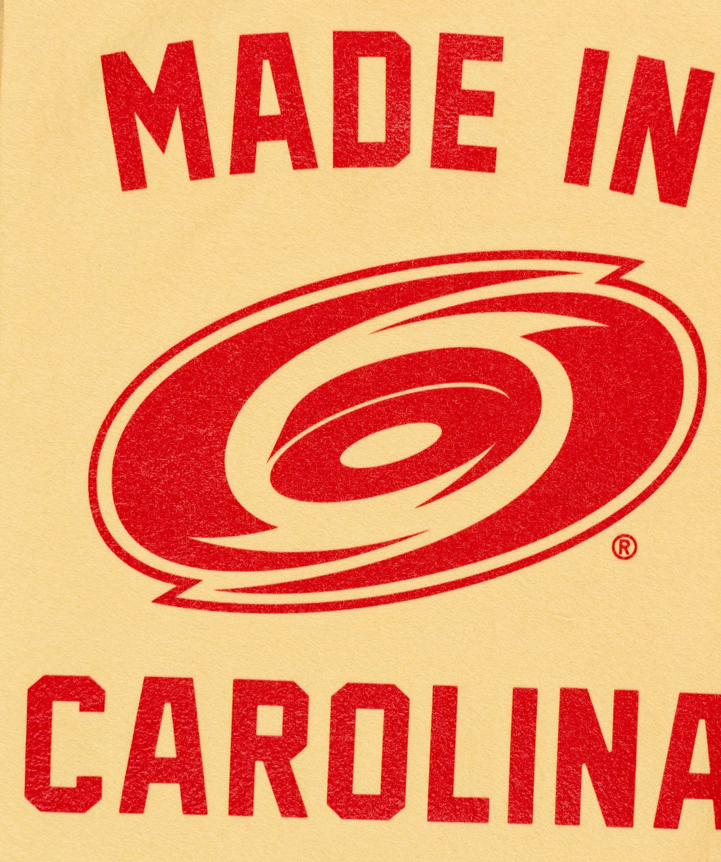 Made In Carolina: Carolina Hurricanes Camp Flag • NHL x Oxford Pennant