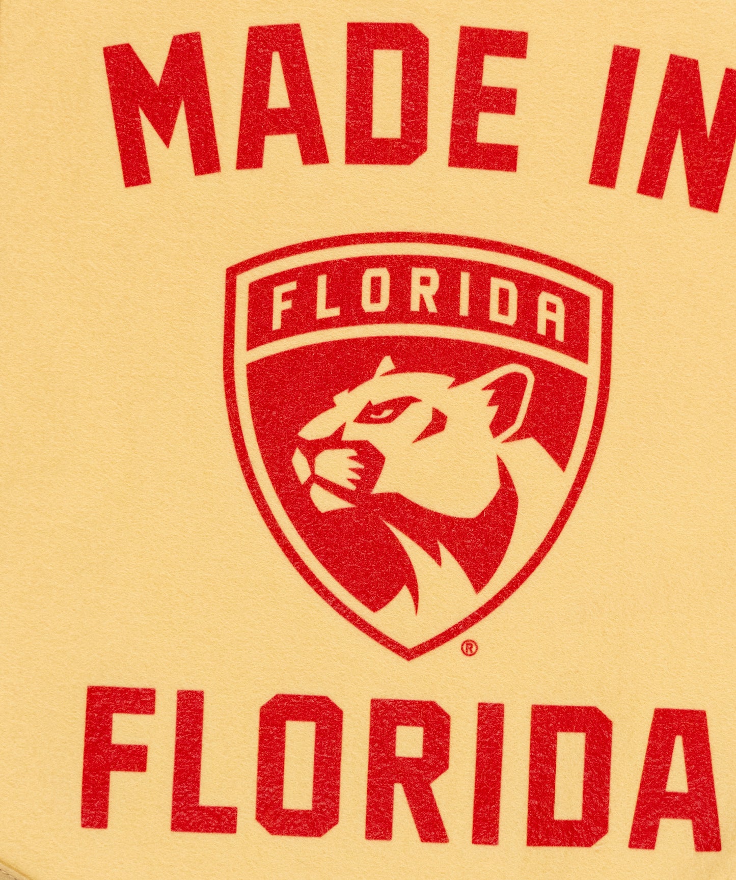 Made In Florida: Florida Panthers Camp Flag • NHL x Oxford Pennant