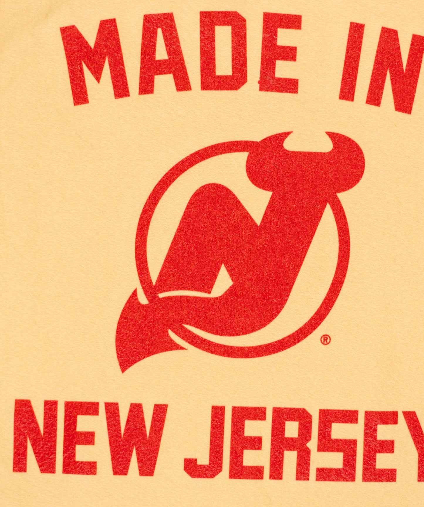 Made In New Jersey: New Jersey Devils Camp Flag • NHL x Oxford Pennant