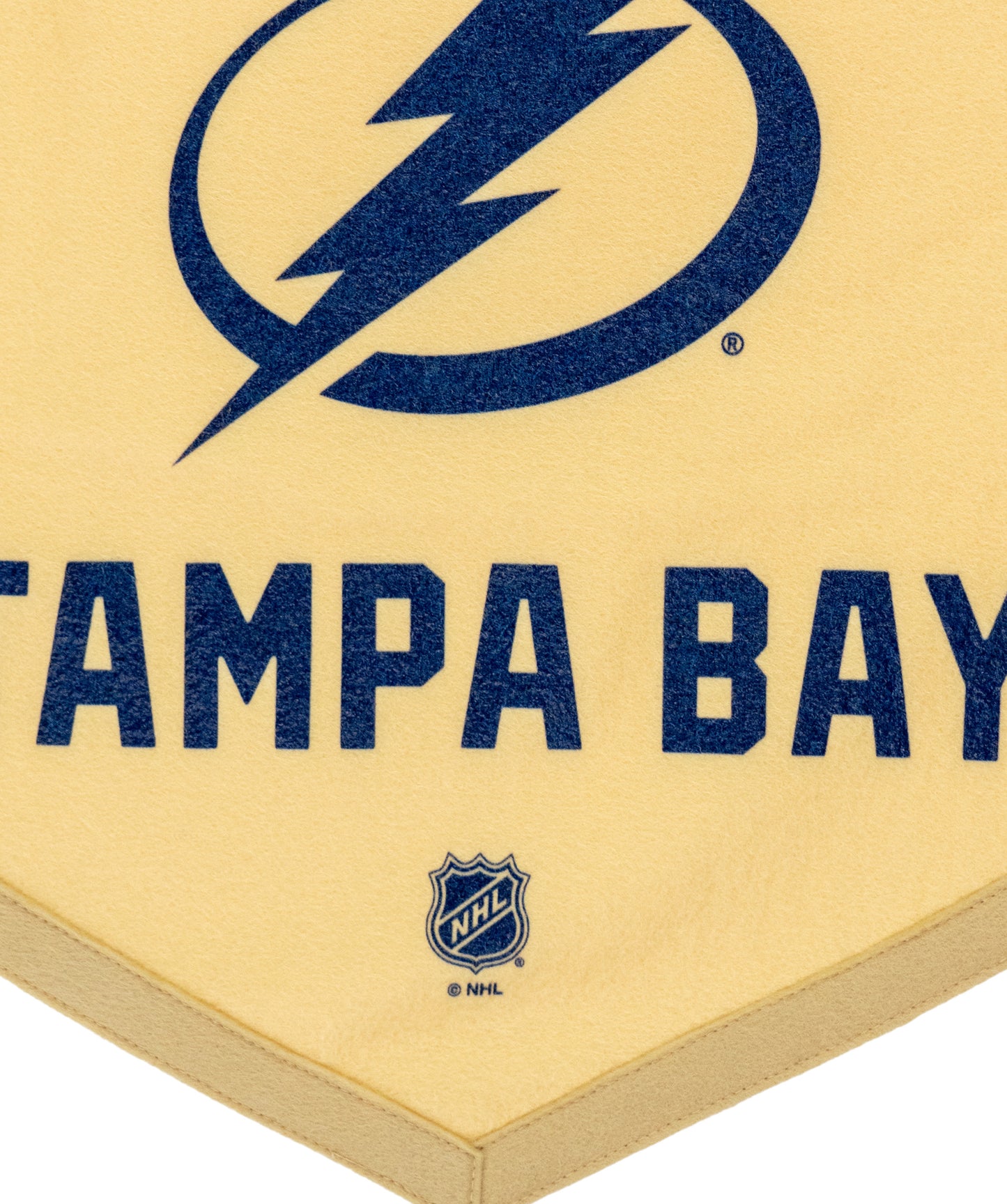 Made In Tampa Bay: Tampa Bay Lightning Camp Flag • NHL x Oxford Pennant