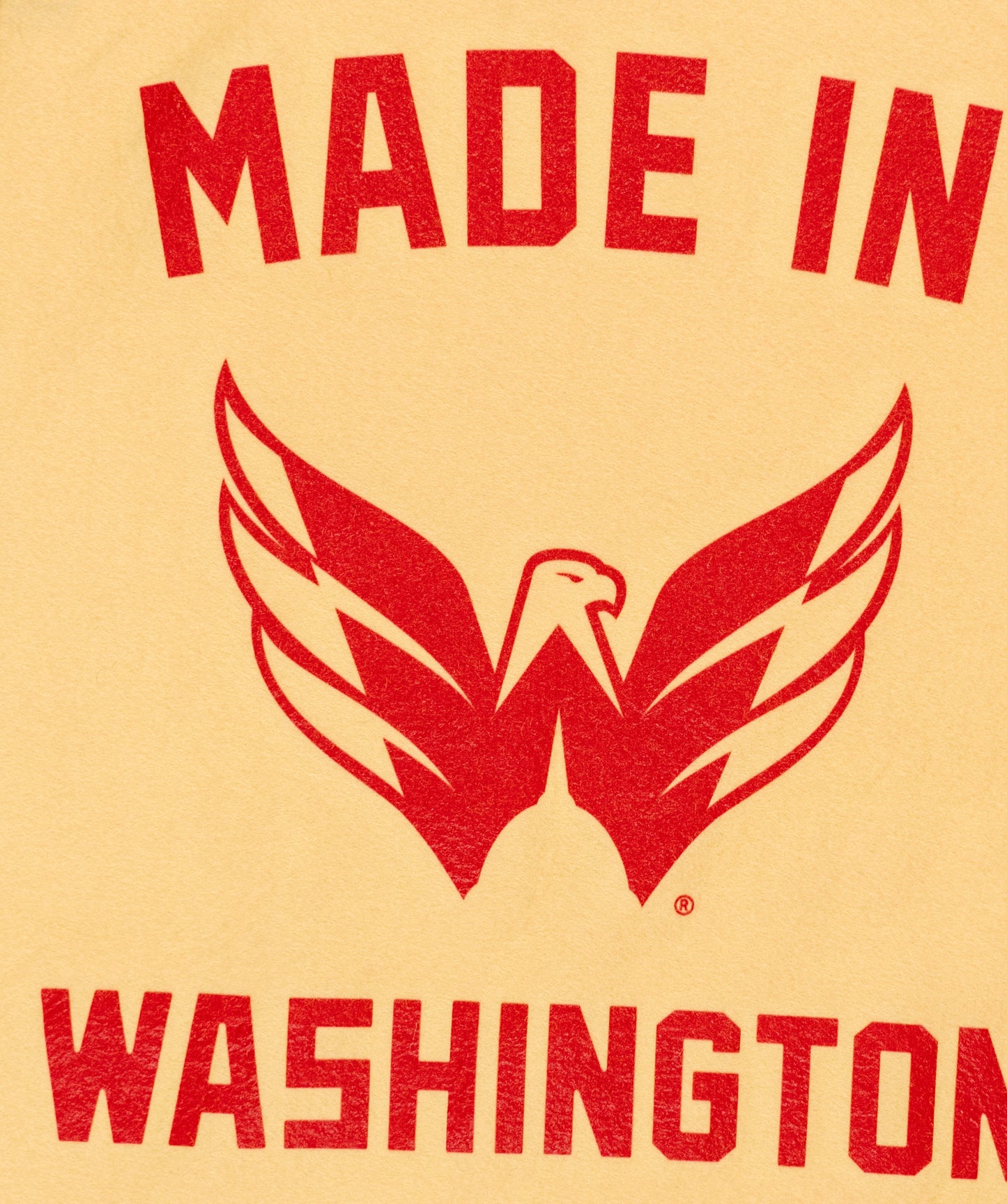 Made In Washington: Washington Capitals Camp Flag • NHL x Oxford Pennant