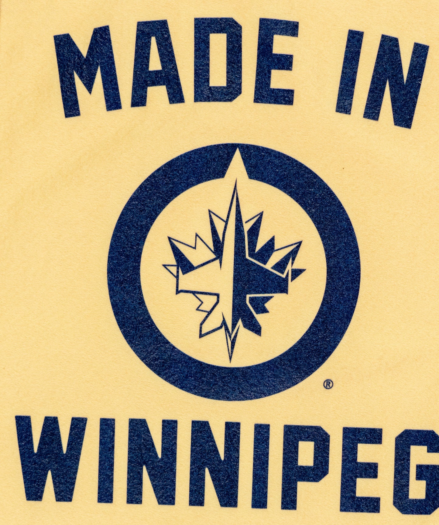 Made In Winnipeg: Winnipeg Jets Camp Flag • NHL x Oxford Pennant