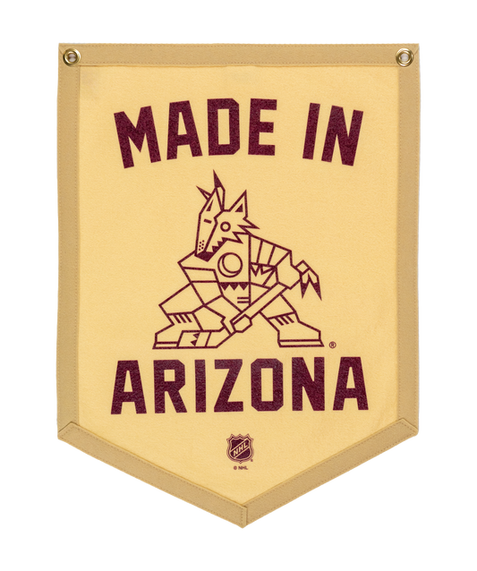 Arizona Coyotes Camp Flag | NHL x Oxford Pennant