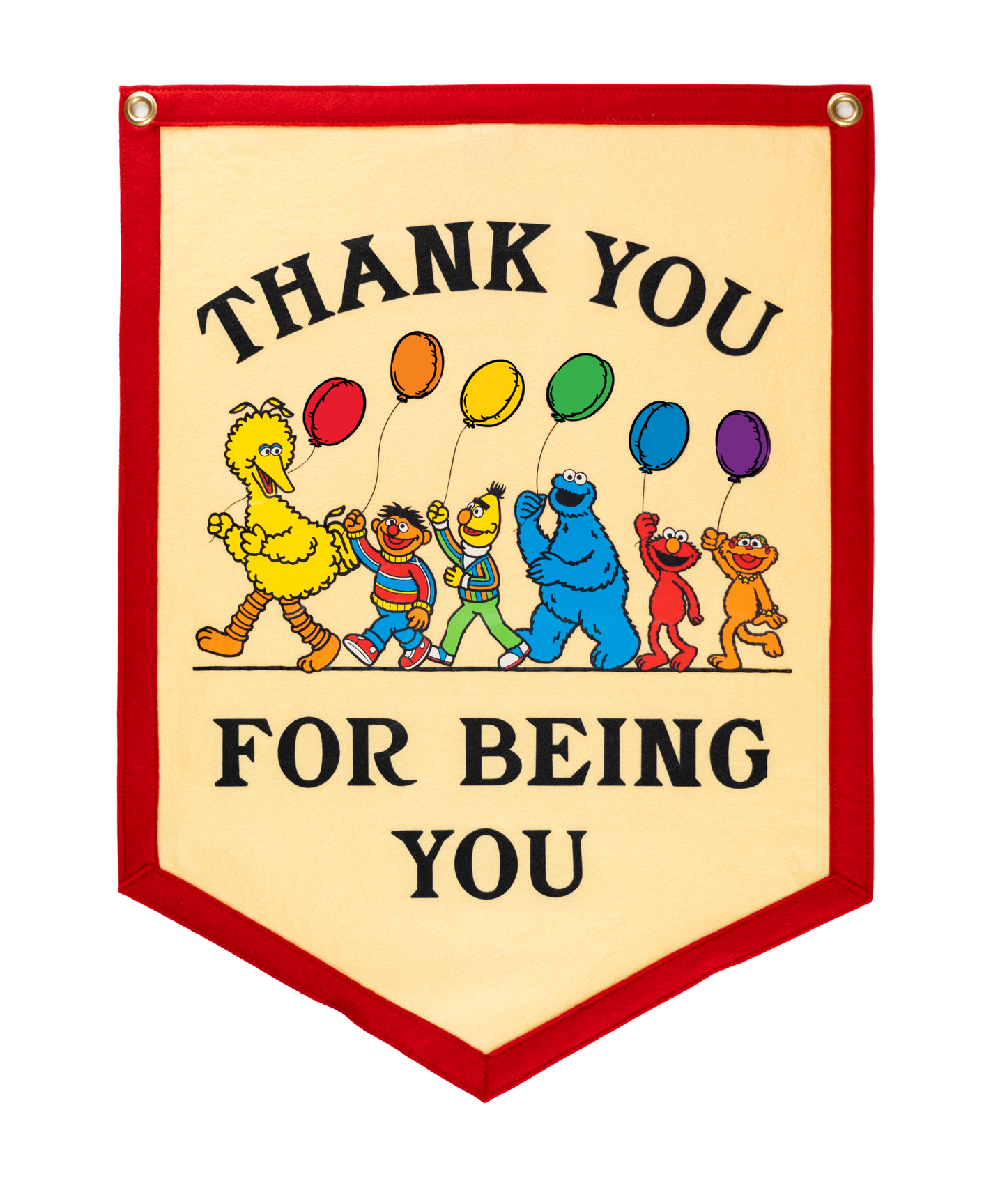 Thank You for Being You Camp Flag • Sesame Street x Oxford Pennant